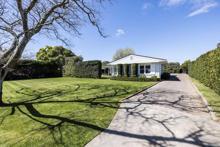 904B Harding Road Hastings_23