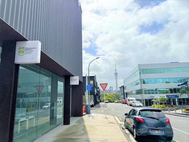 25 Hargreaves Street Auckland Cbd_1