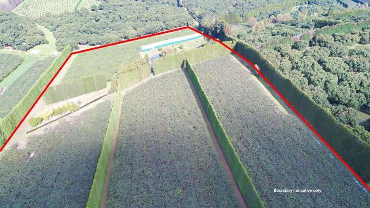 168 Ongare Point Road Hauraki Surrounds_2