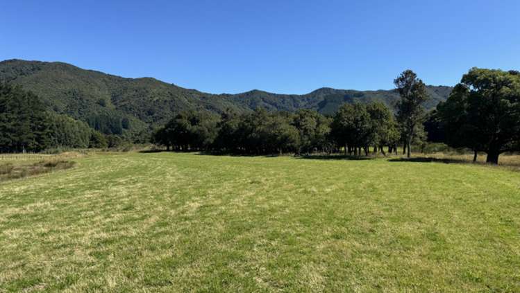 Waiohine Gorge Road Carterton_8