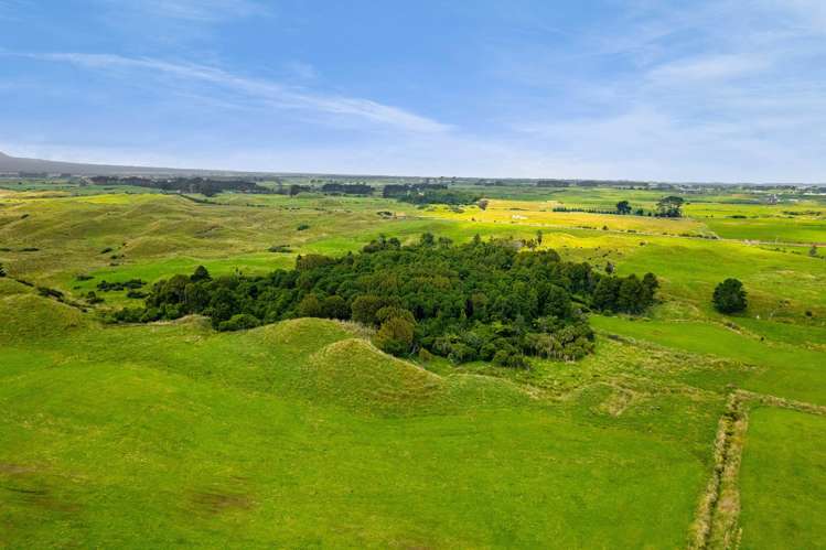 955 Opua Road Opunake_22