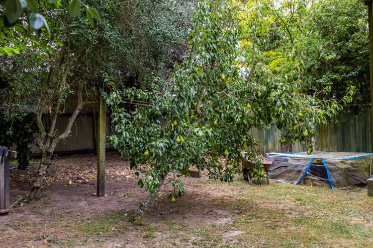 120 East Street Greytown_20