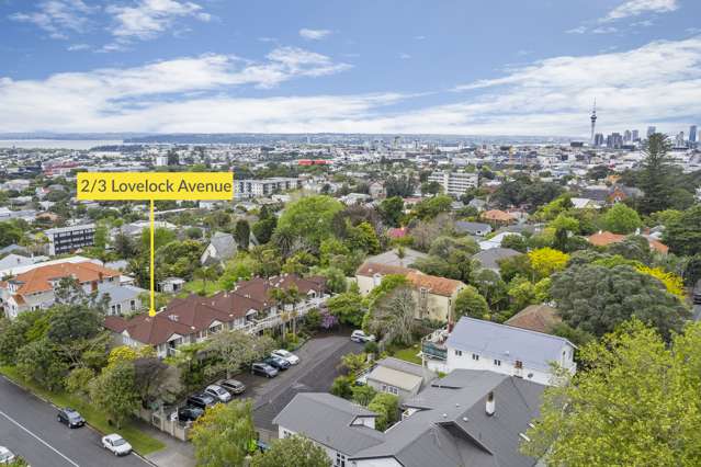 2/3 Lovelock Avenue Mount Eden_1