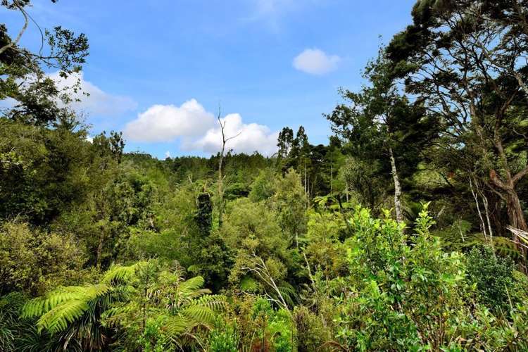 20 Hazel Glen Bayview_2