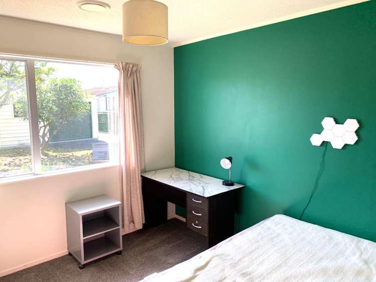 12 Alpha Avenue 11581_9