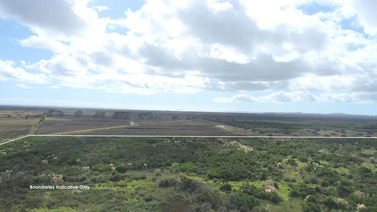 State Highway 1 Waiharara_5