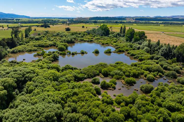 1081 State Highway 63 Renwick_39