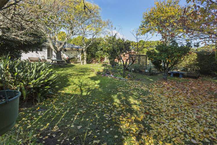 101 Botany Road Botany Downs_5