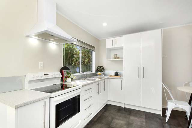 17A Fitzherbert Street Alicetown_2