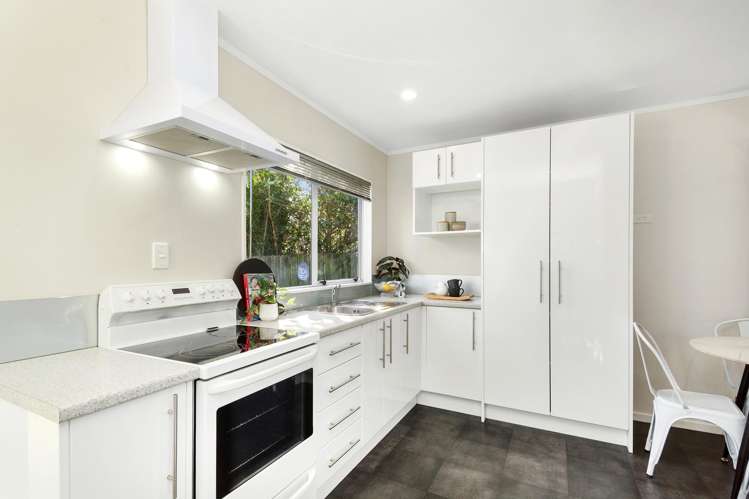 17A Fitzherbert Street_2