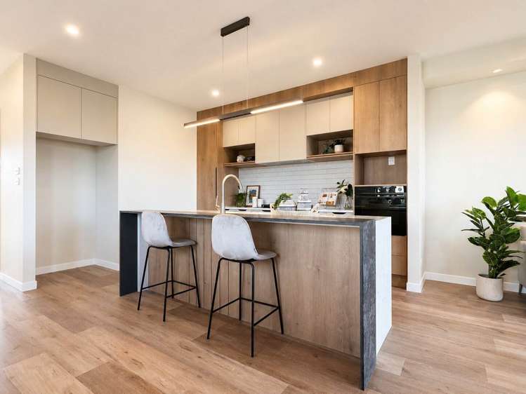 76 Dendro Ring Road_3