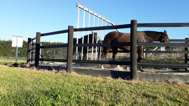 672 Highfield Road Burnham_29