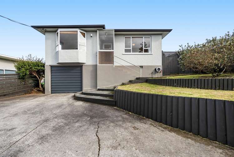 228 Carrington Street Vogeltown_18