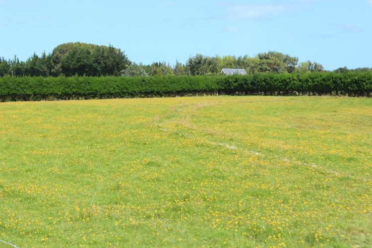 266 Bay Road West Plains_32