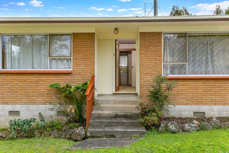 1/20 Flavia Close Torbay_12