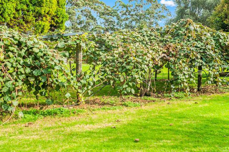 1629B State Highway 10 Kerikeri_27