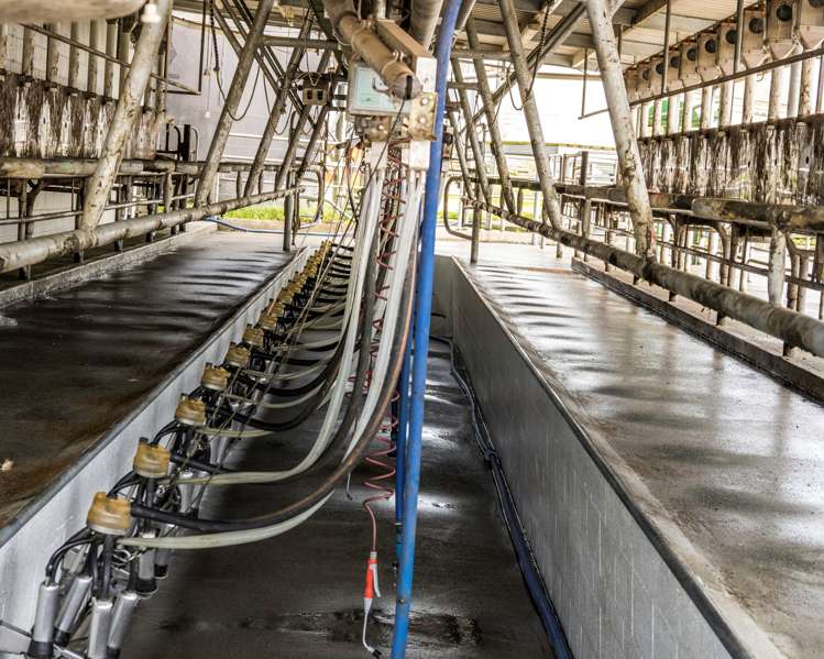 3069 Old Taupo Road Tokoroa_10