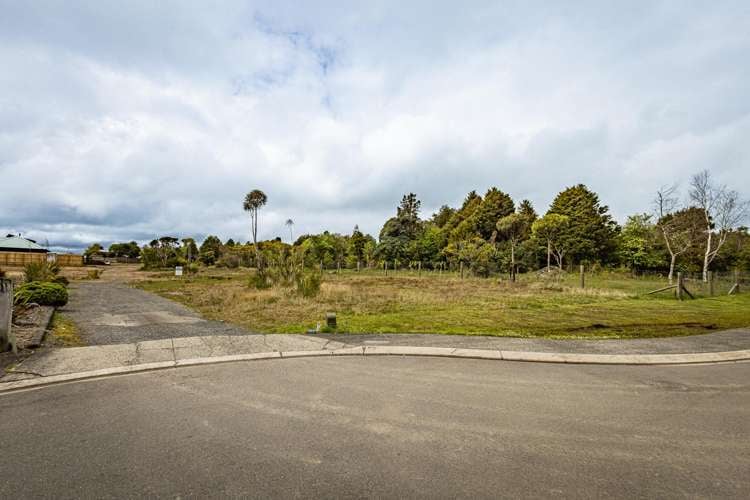 20 Waimarino Tokaanu Road National Park_16