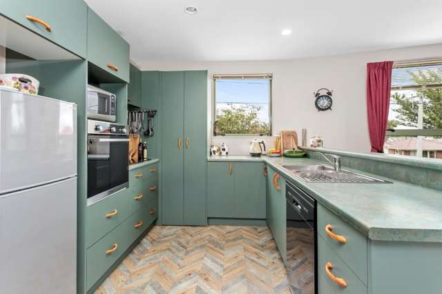 18a Humboldt Street Sydenham_1