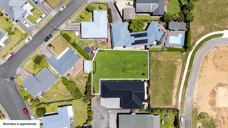 232D Carrington Street Vogeltown_2