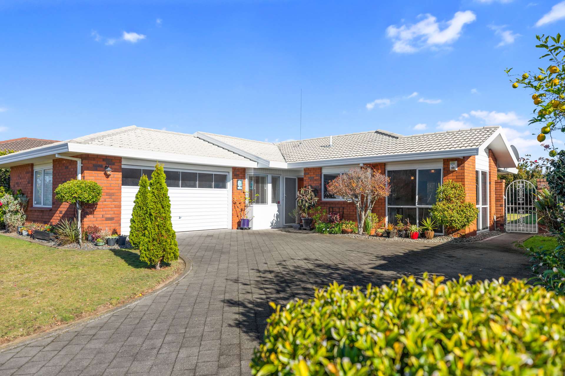 10 Russley Drive Mount Maunganui_0