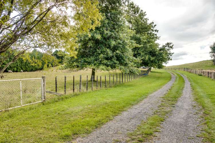 134 Otamauri Road Otamauri_21