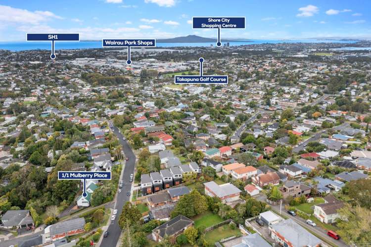 1/1 Mulberry Place Glenfield_14