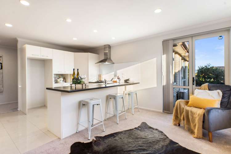 45 Packspur Drive Flat Bush_18