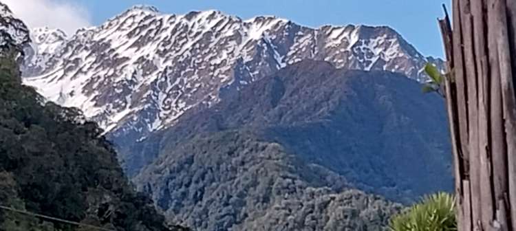 24 Cron Street Franz Josef Glacier_21