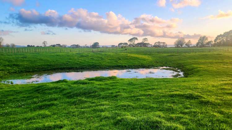 347 Grahams Beach Road Awhitu_5