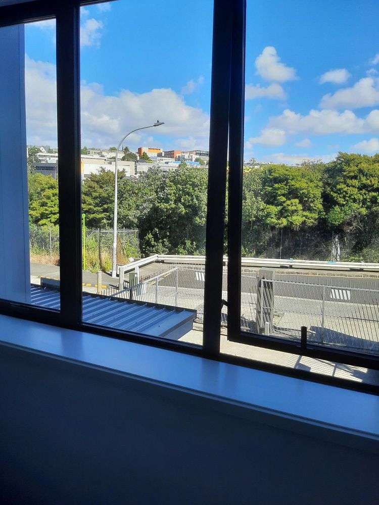 6 Winchester Street Grey Lynn_16