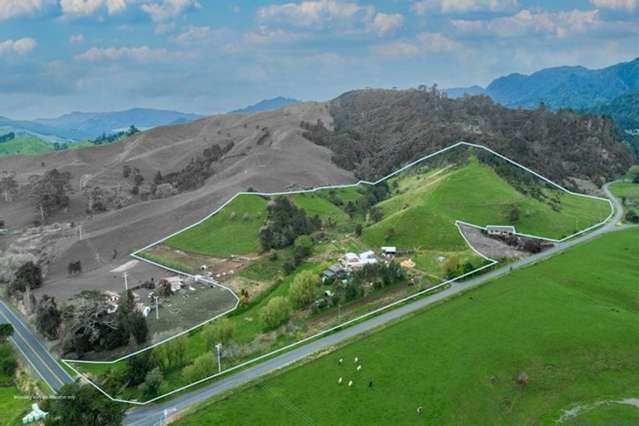 17 Omahu Valley Road Puriri_1