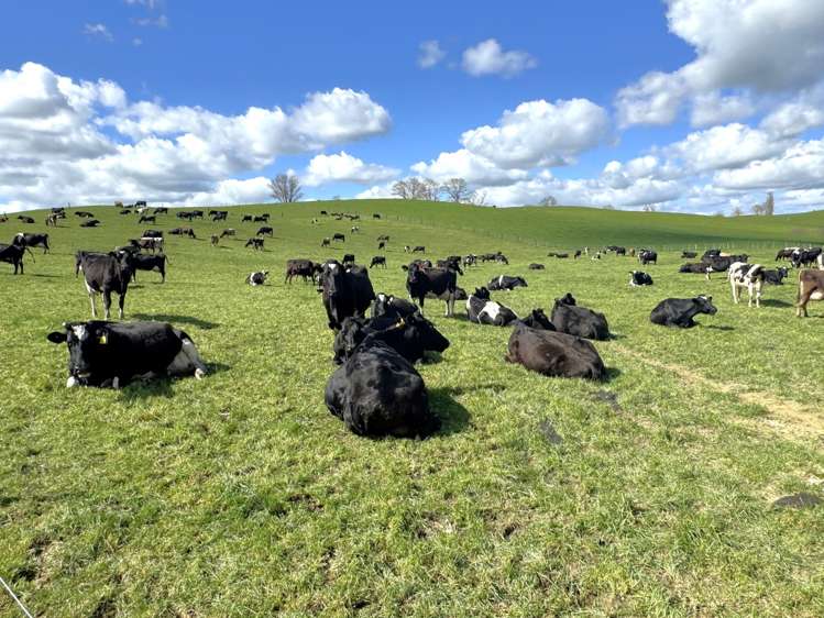 233B Kio Kio Station Road Otorohanga_3