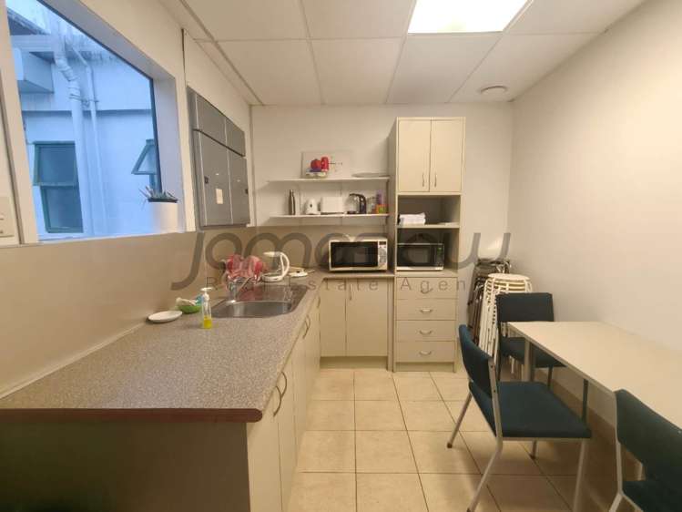 123 Manukau Road Epsom_14