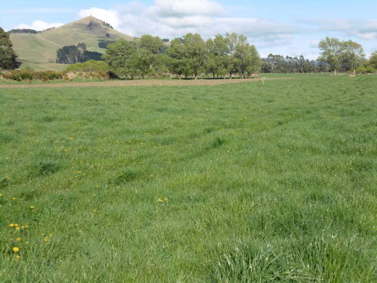 5326 Hampden-Palmerston Road Palmerston_11