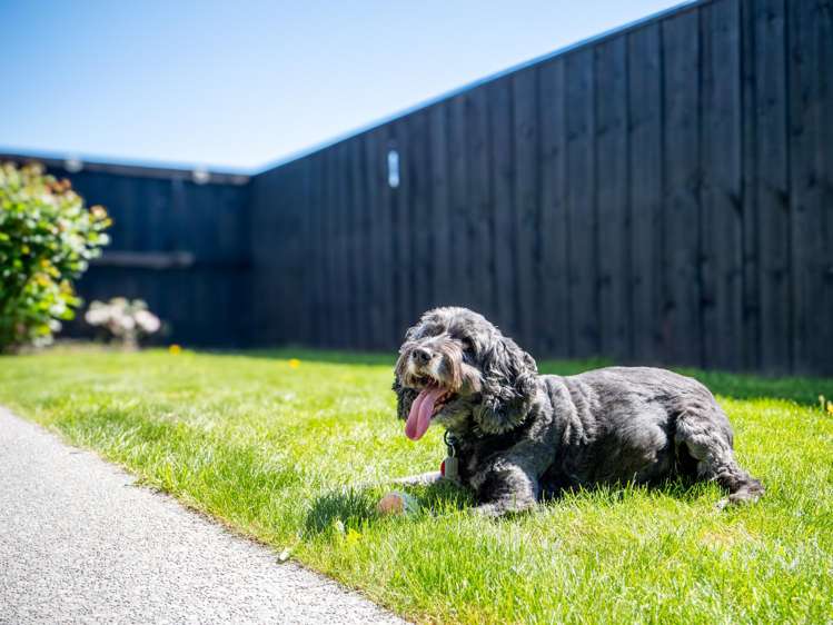 15 Joslen Way Kaiapoi_15