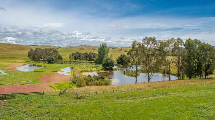 359 Mangatarata Road Hawkes Bay_13