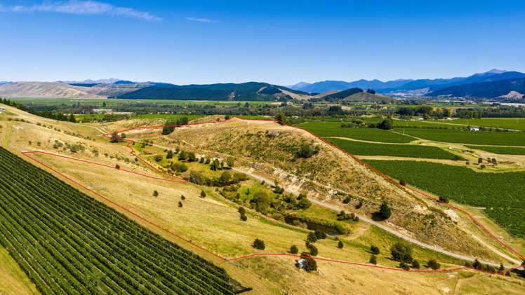 669 State Highway 63 Renwick_16