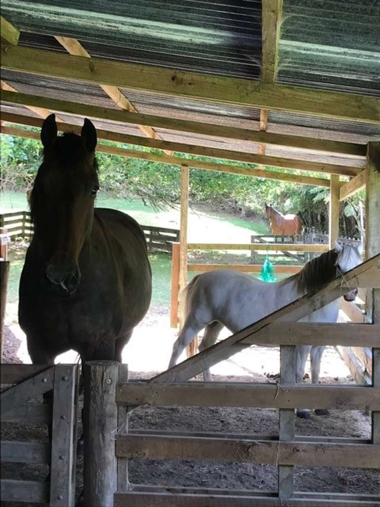 104 Hillcrest Road Kaikohe_8