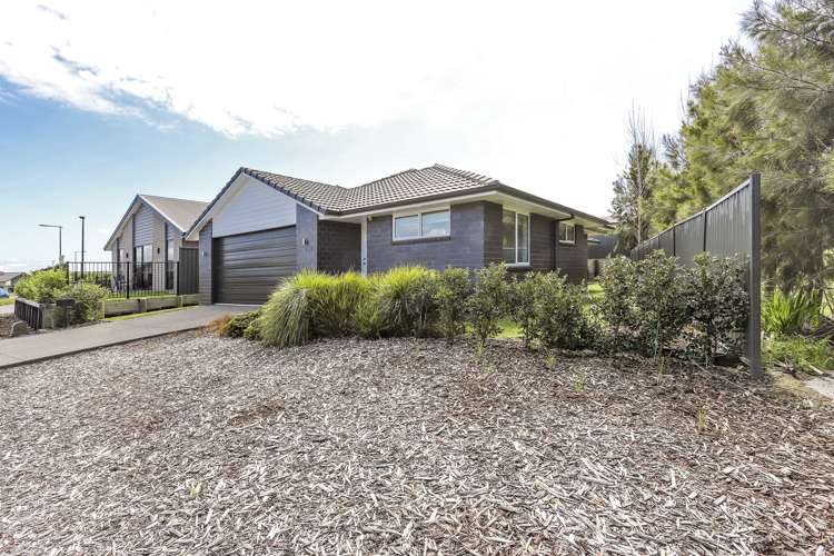 40 Sentinel Avenue Omokoroa_27