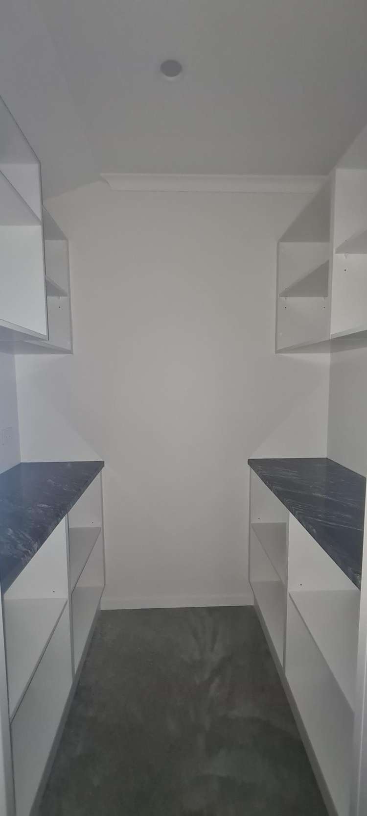 15 Barberry Drive Morrinsville_3