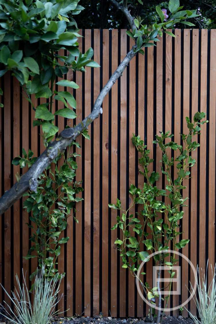 3/44 Ranfurly Street Saint Albans_12