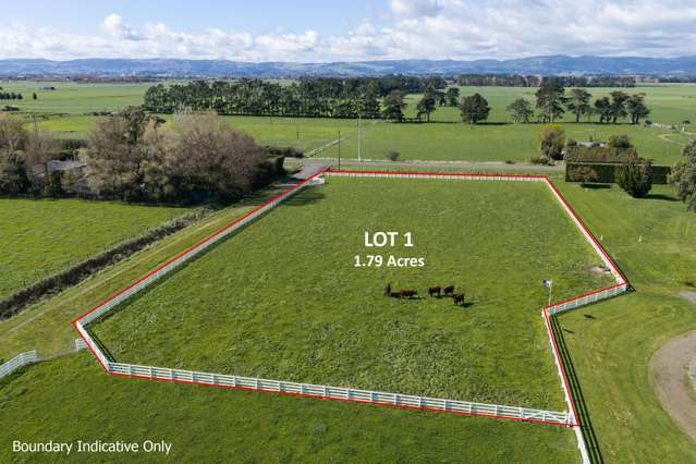 Lot Lot 1 and 2/964 Kairanga Bunnythorpe Road Kairanga_2