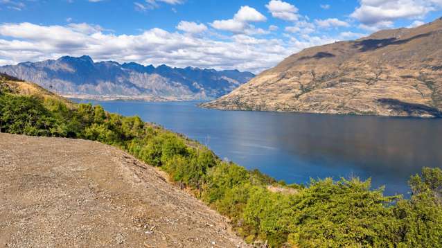 12 Forestlines Rise, Queenstown