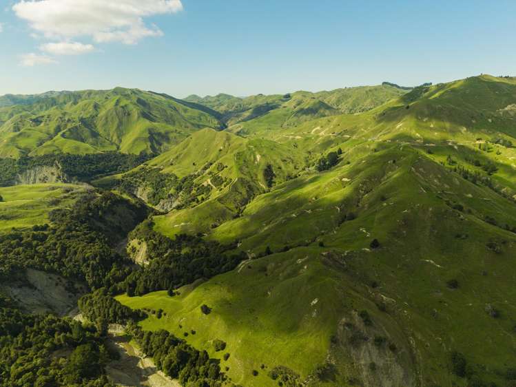 Matawai Station, 772 Oliver Road Matawai_8