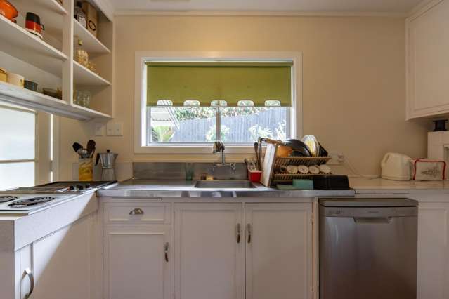 86B Pembroke Street Hamilton Lake_1
