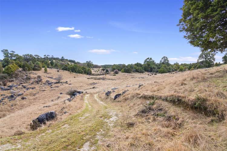 1063 Takaka Hill Highway Motueka_2