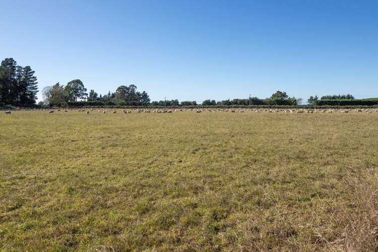 22 Taverners Road Dromore_13