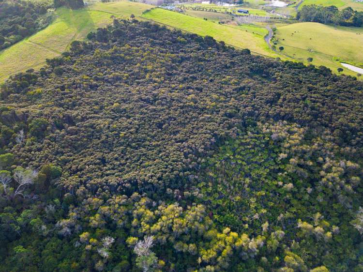 27 Kurapari Road Kerikeri_3