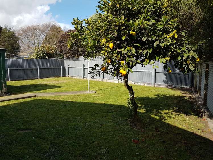 3A Iona Street Hokowhitu_5